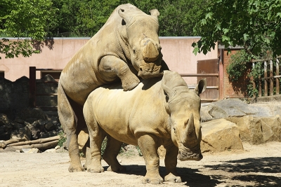 Osnabrck Zoo