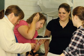 Selecteren van muizen wordt niet alleen op het oog geselecteerd