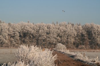 Winter december 2007